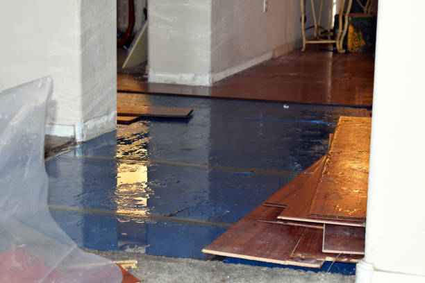 Professional Basement Flood Cleanup technician working in Seabrook, MD
